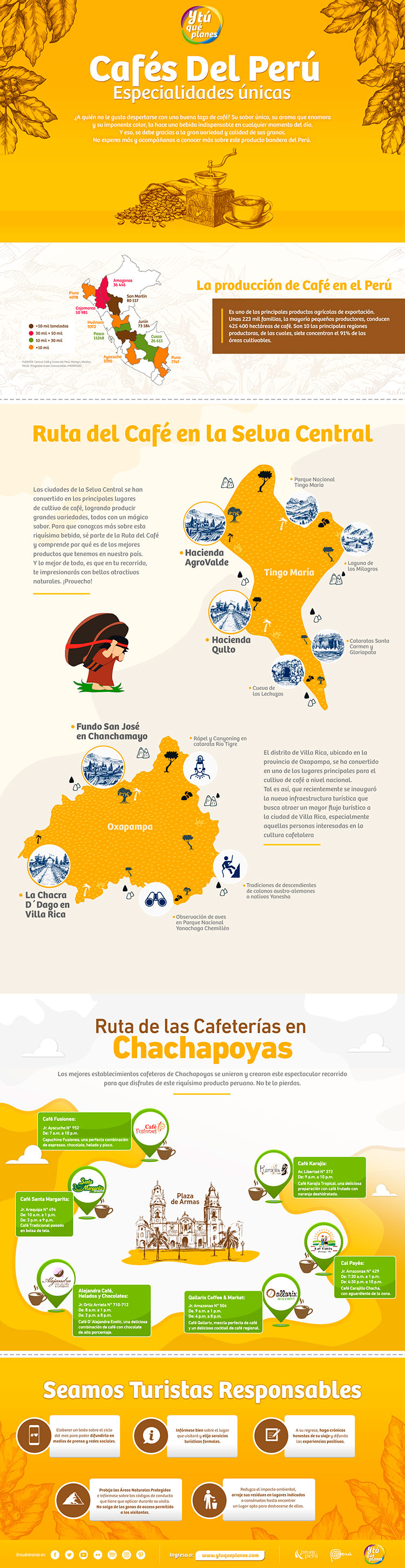 Infografía Café peruano