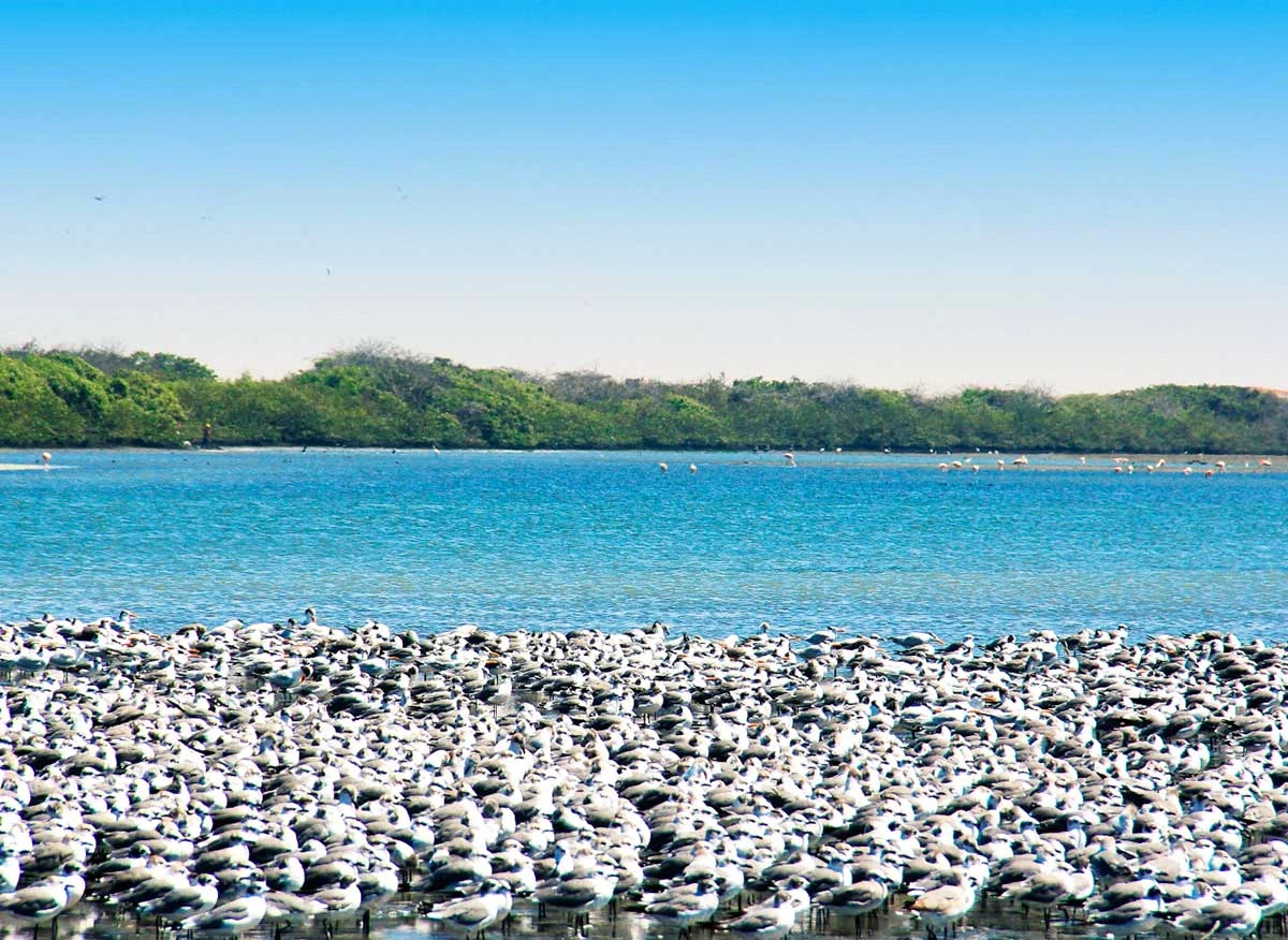 Lugares turísticos de Moquegua- Malecón de Ilo