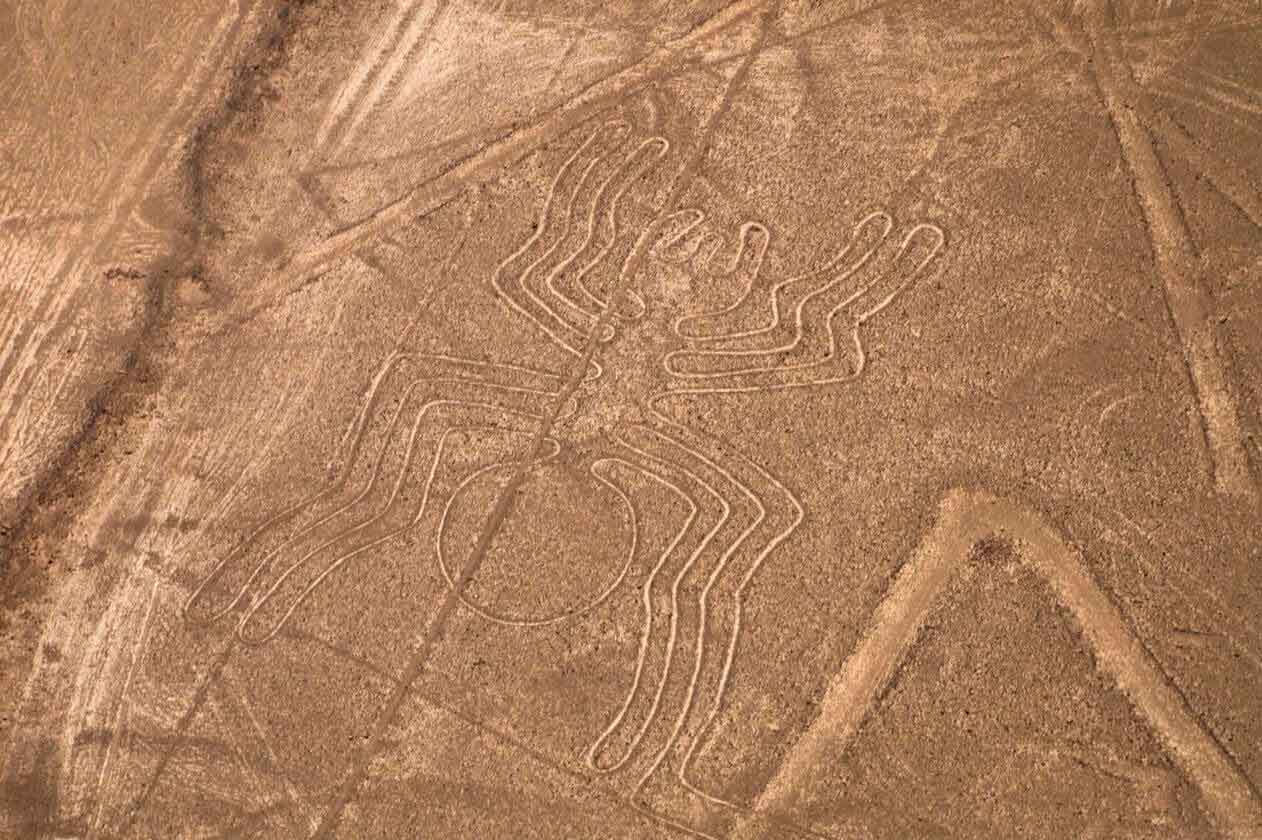 figura-animales-nazca-arana