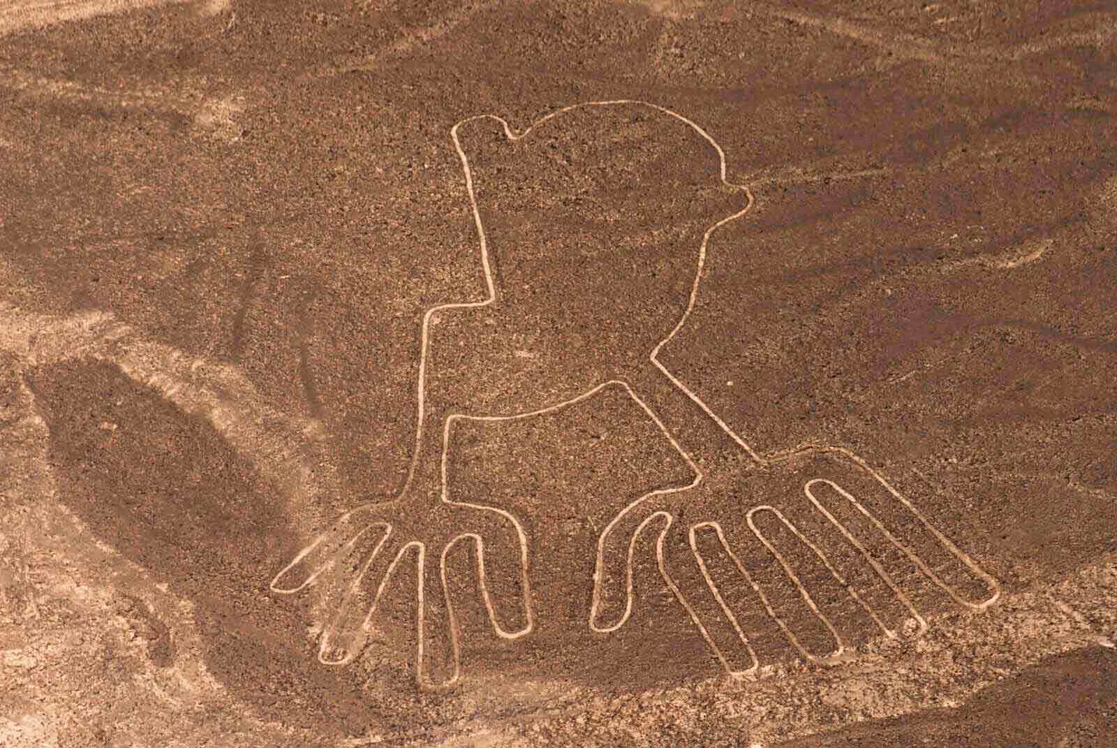 manos-nasca