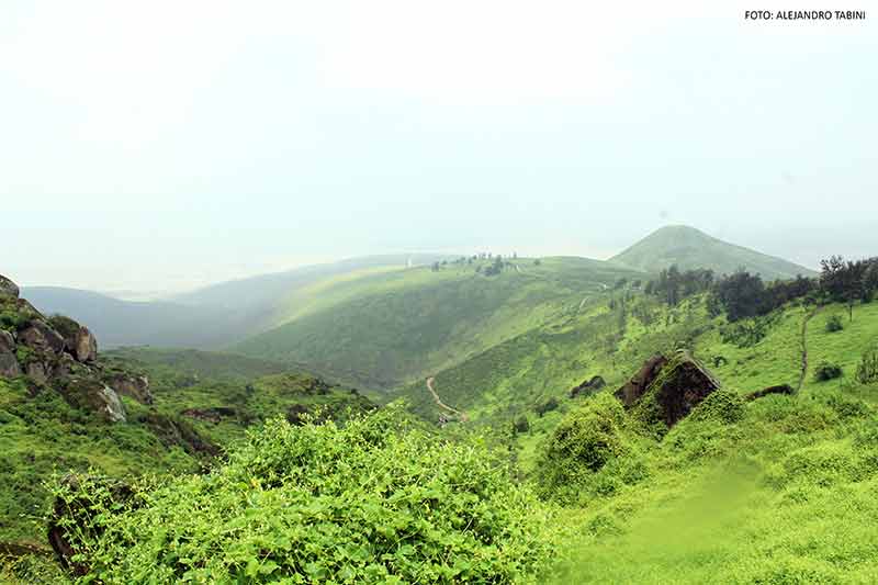 Lomas de Lachay