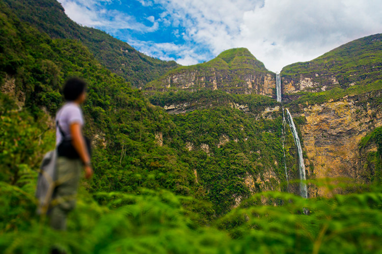 Viajar al Amazonas