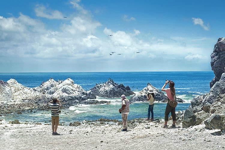 Lugares turísticos de Moquegua-Punta Coles