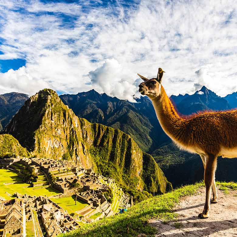 Machupicchu