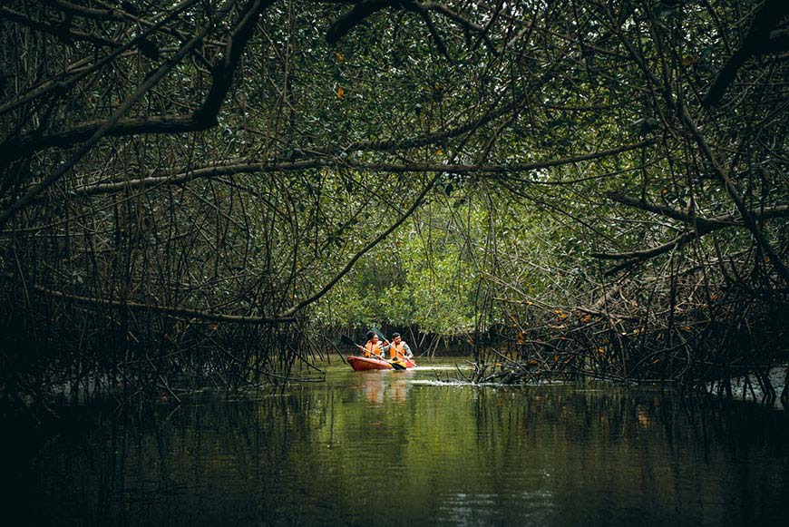 Turistas en manglares de Tumbes