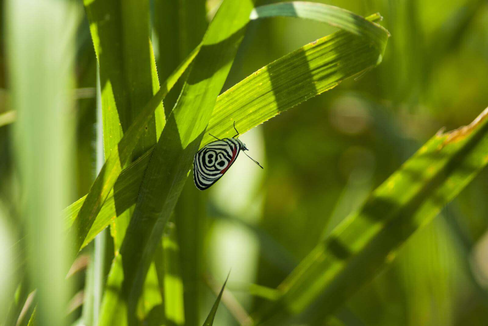 mariposario Cusco