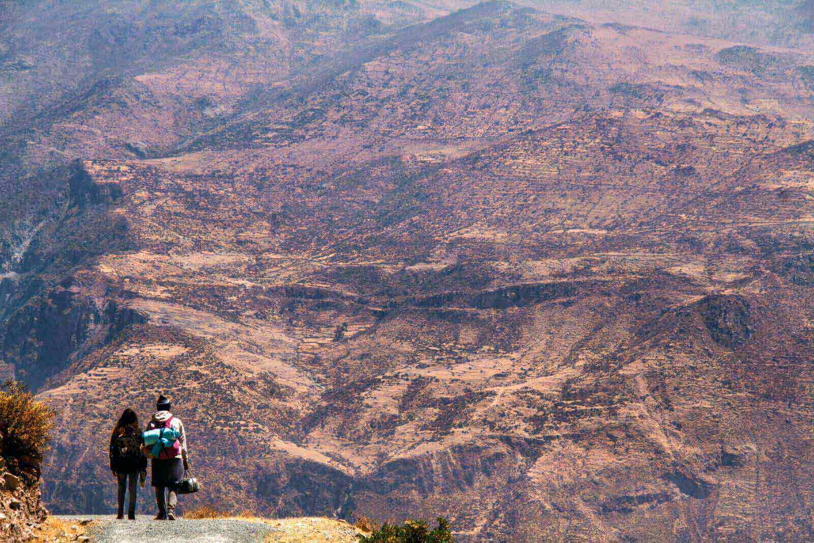 cima-bosque-rocas