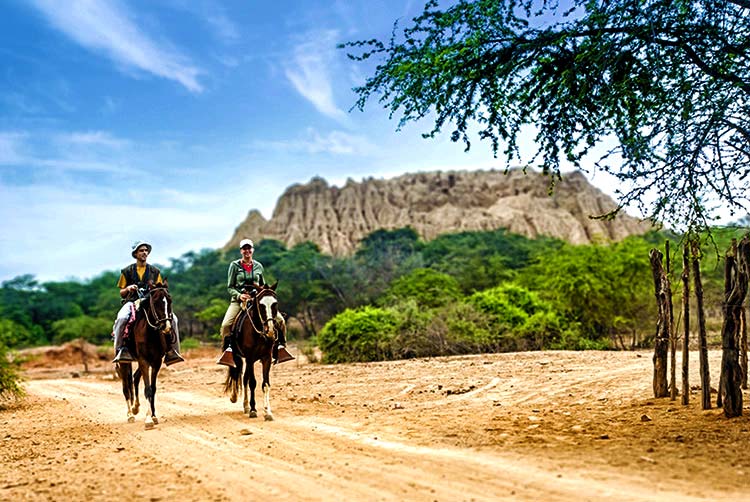 Montar caballo en el bosque de Pómac