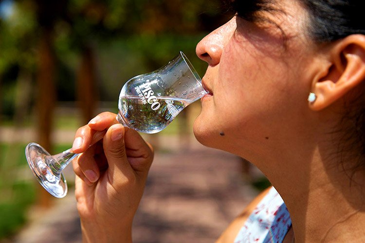 Características del Pisco