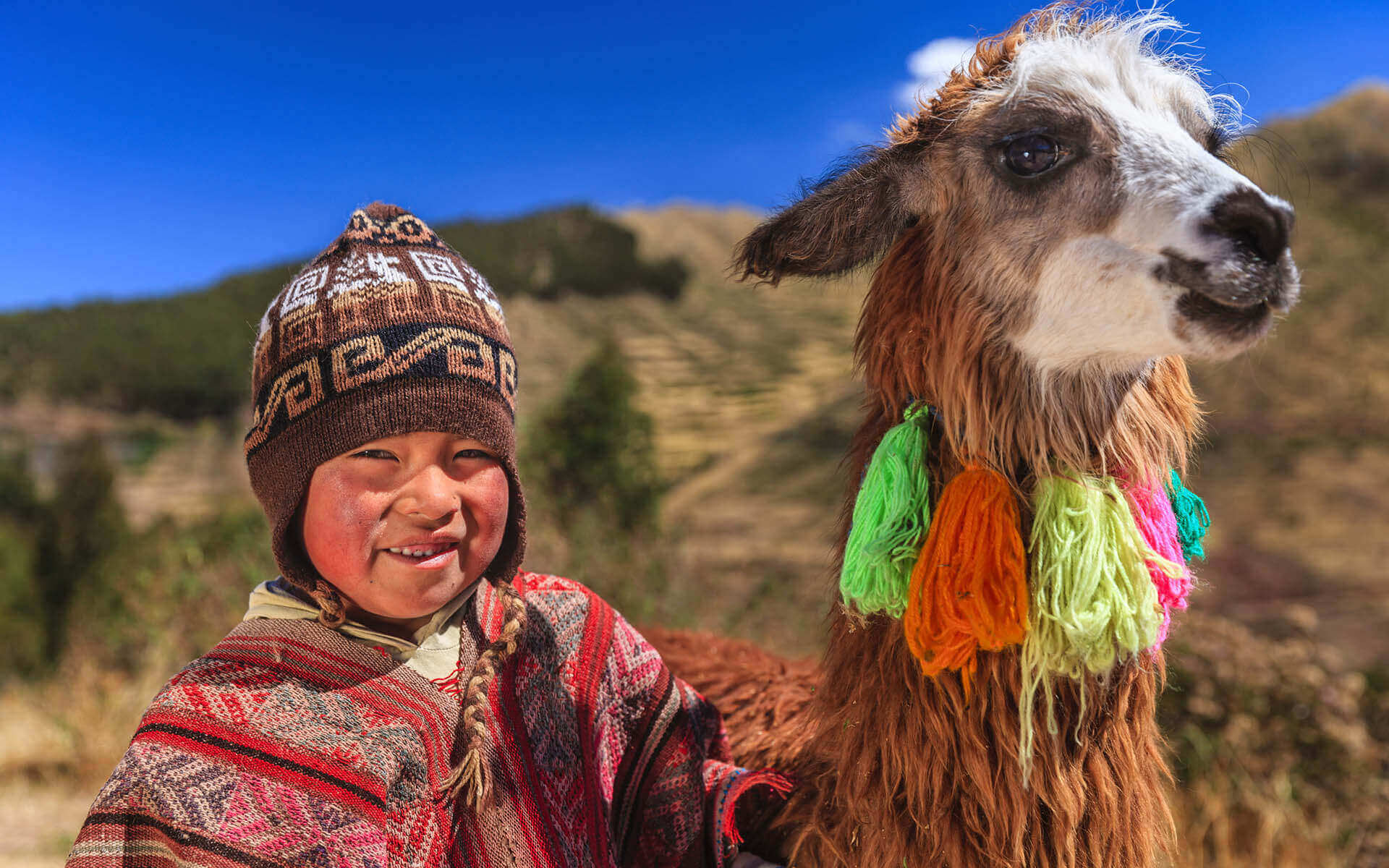 nino-llama