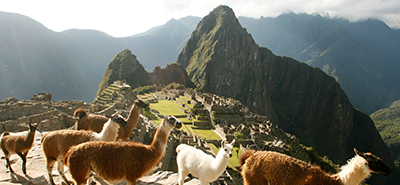 Turista japonés y cusqueña se convirtieron en embajadores de Machu Picchu