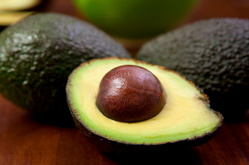 Palta Hass