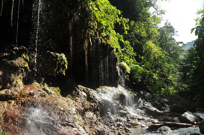 Parques Nacionales del Perú