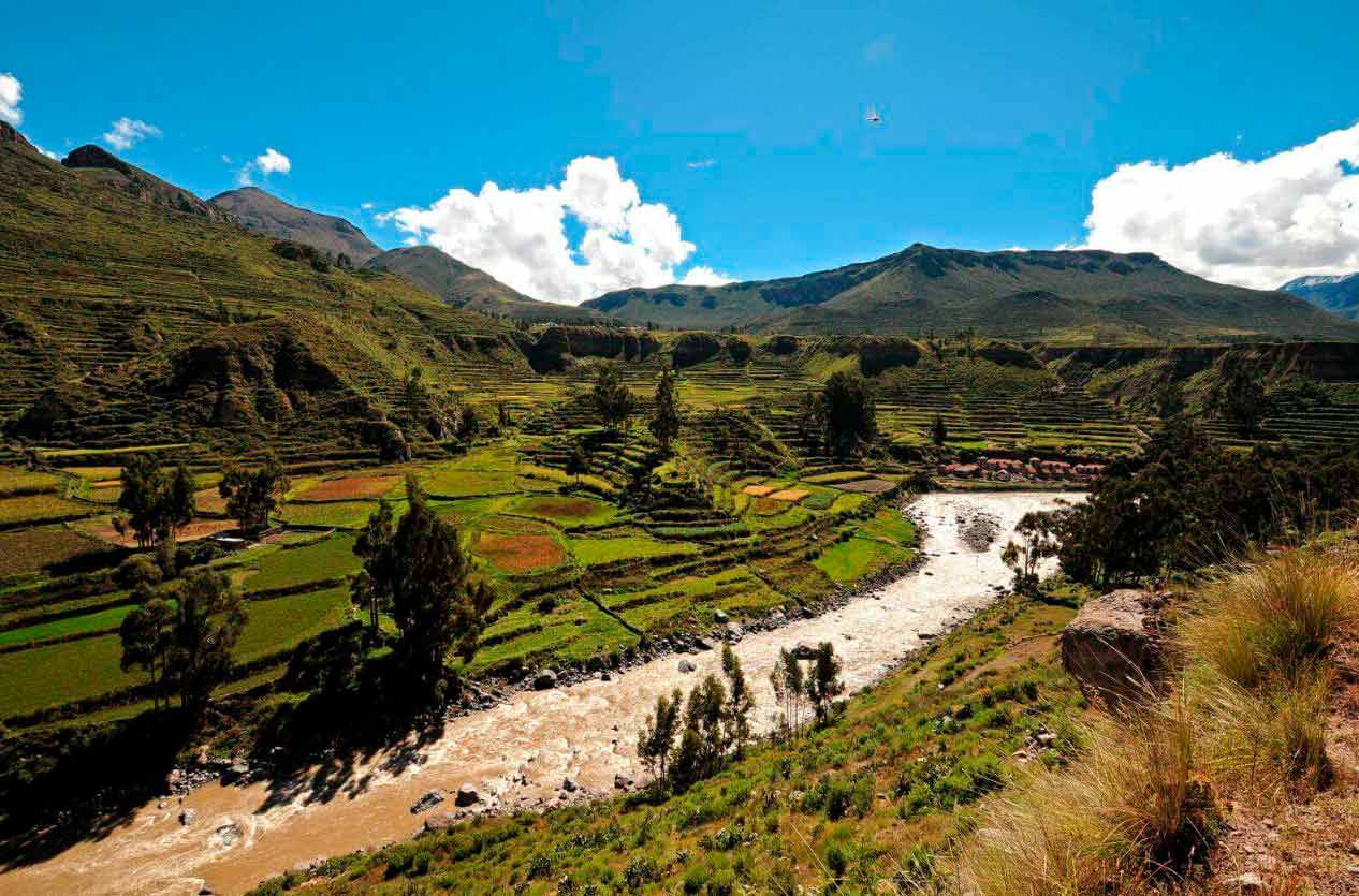 Canon Colca turismo Arequipa