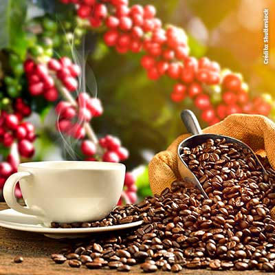 Sé parte de la Ruta del Café y conoce la importancia de este producto peruano