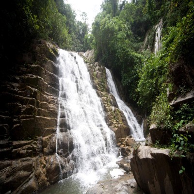 El rostro de la Selva que te encantará