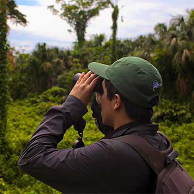 Las aves del Perú serán protagonistas en el Amazon Birding Festival 