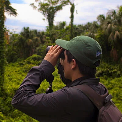 Las aves del Perú serán protagonistas en el Amazon Birding Festival 
