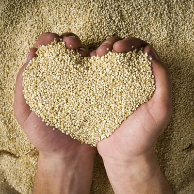 Quinua, superalimento andino que nutre al mundo