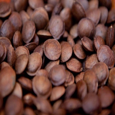 Sacha inchi, un remedio de la naturaleza en tu cocina