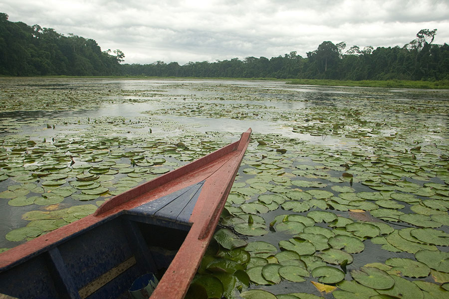 sonidos-naturaleza