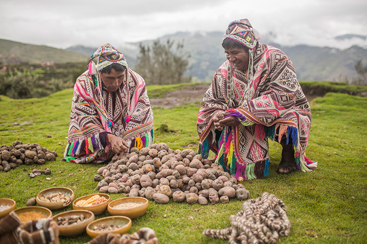 Super alimentos papas nativas