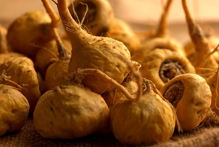 superfoods-maca