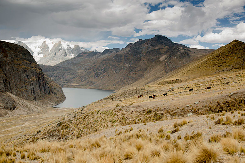 Tanta Nor Yauyos Cochas