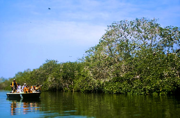 Turistas en Manglares de Tumbes