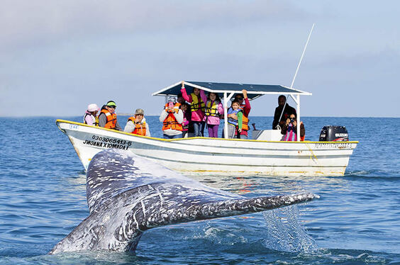 Punta-sal-mancora-manglares_1