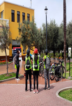 Bicitour: Entre Olivos y El Mar