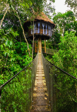 Tu propia casa en el árbol en la selva peruana