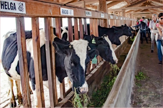 Semana Santa en Cajamarca