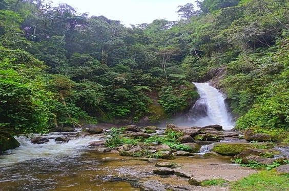 Tour Selva Central Perú 8D7N con Vuelo Lima-Satipo