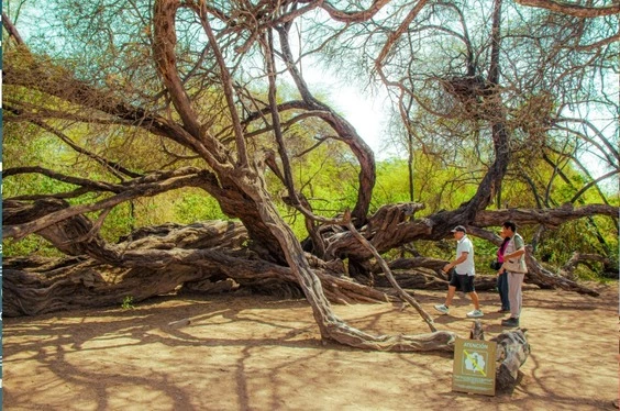 Naturaleza y aventura