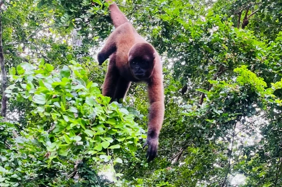 Semana Santa 2026 Lodge y ciudad