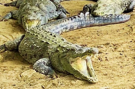 Piura y Tumbes un viaje al corazón del verano eterno