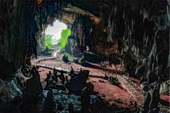 Tingo María en 48 horas – Viaje corto, experiencia grande