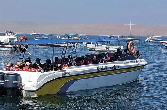 Ica y Paracas
