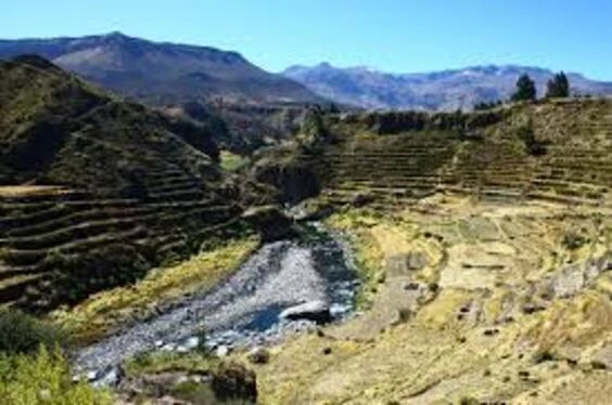 Colca 2D/1N desde Arequipa