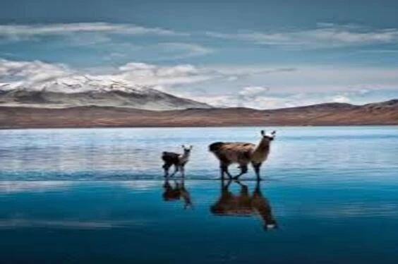 Salinas FullDay desde Arequipa
