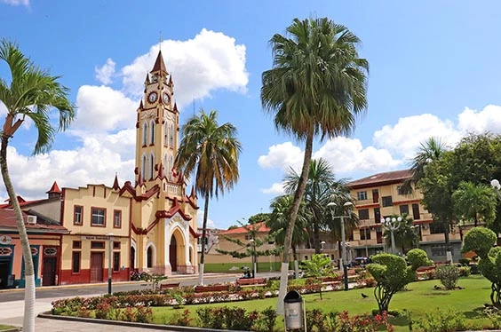 La Selva de los Espejos Life