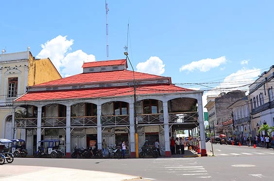 La Selva de los Espejos Life