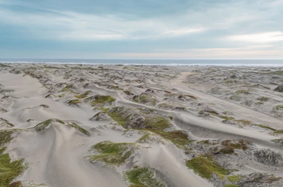 Ruta de León: El Milagro de la Fe y la Tradición Etenana