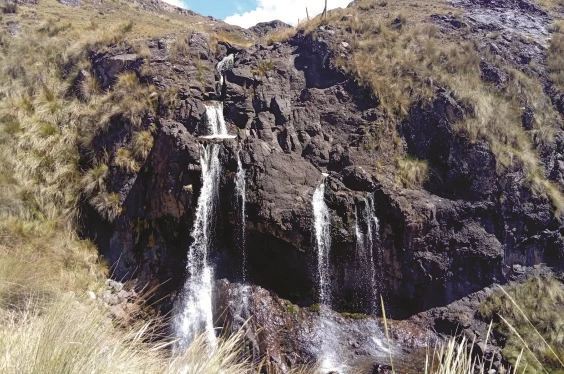 La Ruta de la Alpaca