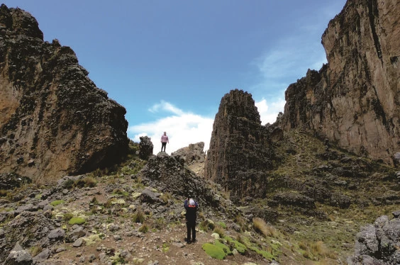 La Ruta de la Alpaca