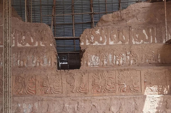 Full day y show de caballos