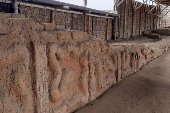 Full day y show de caballos