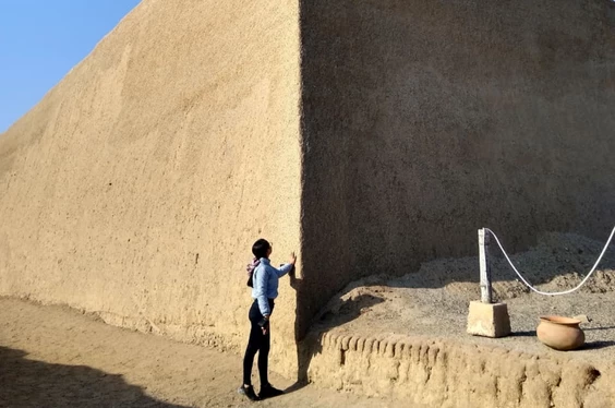 Full day y show de caballos