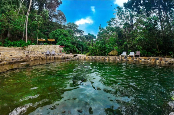 Selva Central Mágica